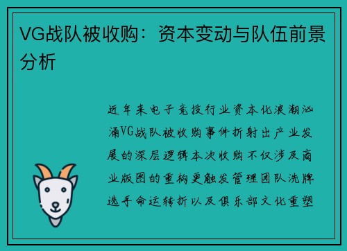 VG战队被收购：资本变动与队伍前景分析